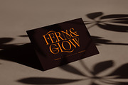 Adelia Mixable Serif, a Serif Font by Sam Parrett (Thumbnail 5 of 11)