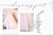 Breathe Poetry // Modern Calligraphy, a Script Font by PeachCreme (Thumbnail 5 of 33)