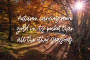 Inside, a Script Font by Larin Type Co. (Thumbnail 8 of 9)