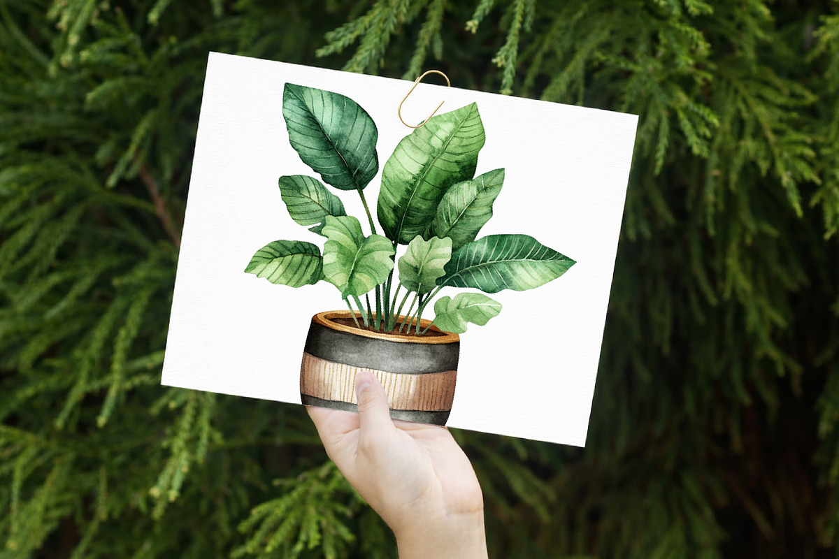 Watercolor Home Plants Clipart, an Illustration by Libby Wishes (Photo 3 of 7)
