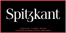 Spitzkant