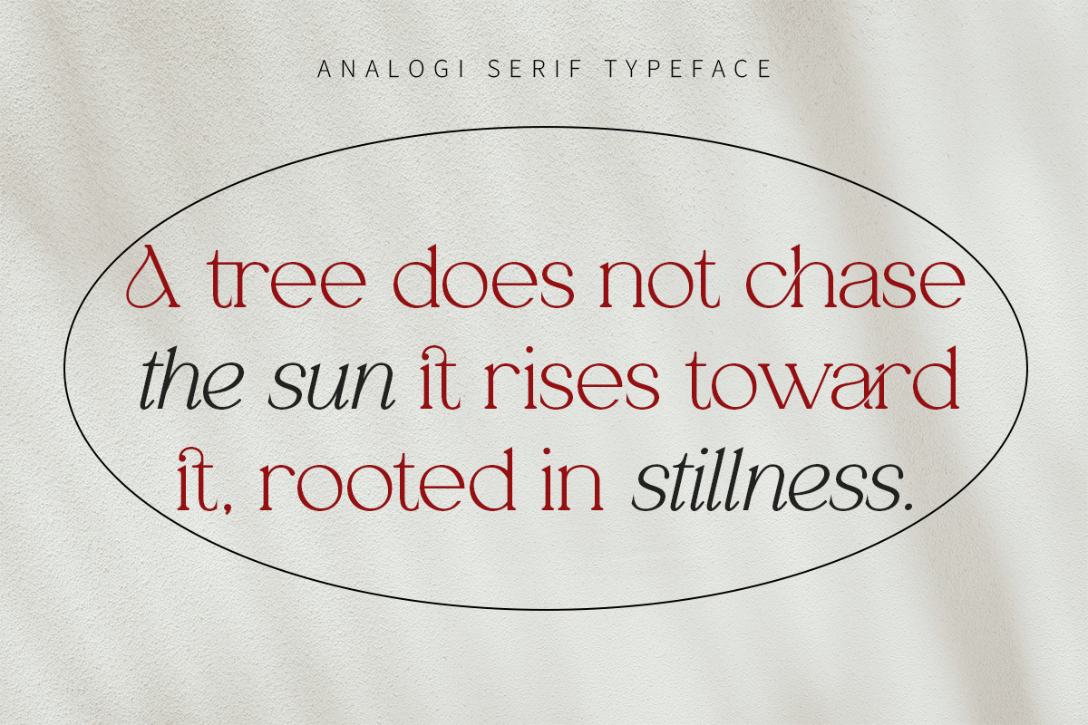 Analogi serif, a Serif Font by Soft Creative (Photo 11 of 13)