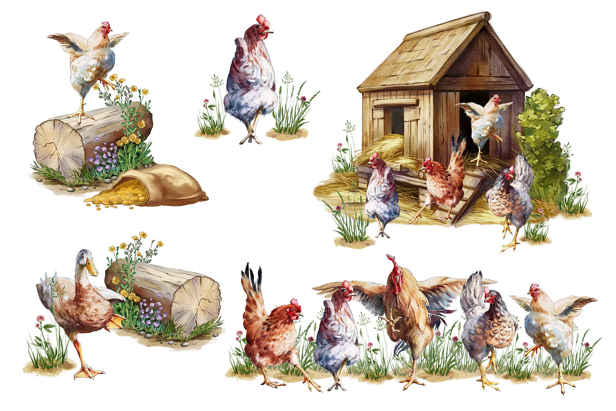 Watercolor composition on the farm, an Animal Illustration by IrynaPanashii (Photo 5 of 8)