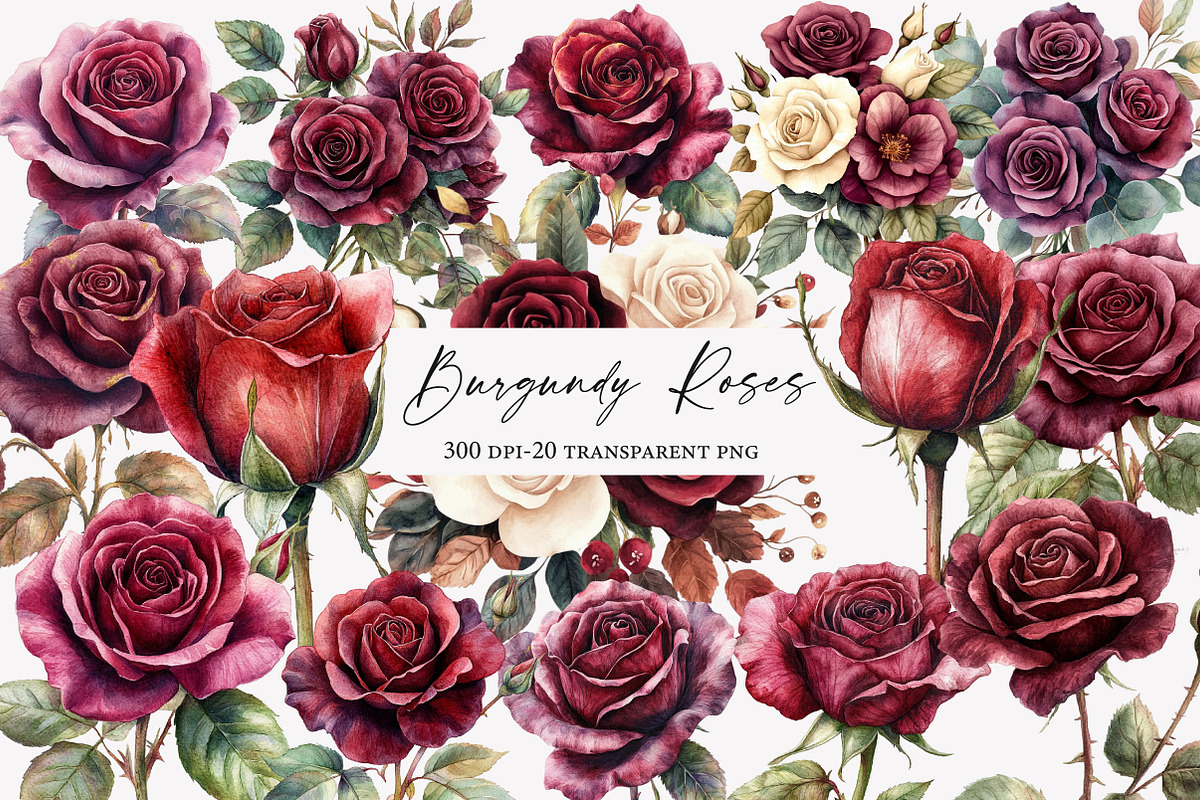 Vintage Burgundy Roses Clipart, an Illustration by Designworld (Photo 1 of 6)