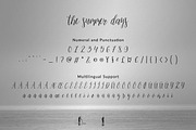 the summer days, a Script Font by Firtana (Thumbnail 10 of 12)