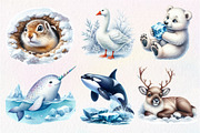 Watercolor Arctic Animals Clipart, an Illustration by Dream Creation (Thumbnail 4 of 8)