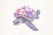 Watercolor Floral Sea Turtles, an Illustration by Watercolor design (Thumbnail 11 of 11)