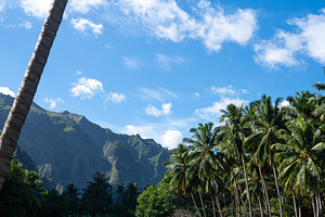 River surrounded by coconut trees in Hakaui Bay, Nuku Hiva, Fren, a Nature Photo by GoodGoods