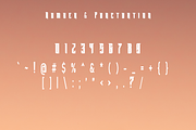 Baraccuda - Aggressive Vintage Font, a Font by ivan_artnivora (Thumbnail 3 of 4)