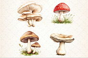 Watercolor Edible Mushroom Clipart, an Illustration by Rose Art (Thumbnail 3 of 4)