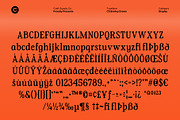 CS Brinley Drawn, a Serif Font by Craft Supply Co. (Thumbnail 8 of 8)
