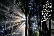 Edelweiss Soft Script, a Script Font by McJer.Studio (Thumbnail 2 of 9)