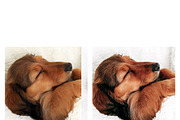 10 Homely Lightroom Presets, a Preset Add-On by MockTurtleStudio (Thumbnail 8 of 8)