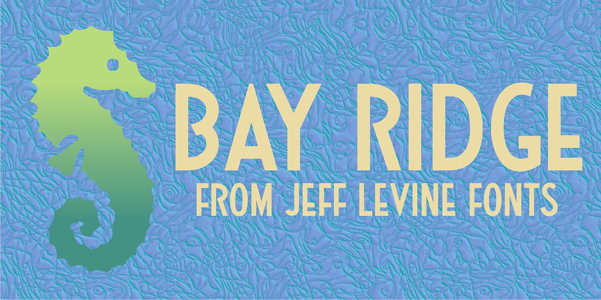 Bay Ridge JNL, a Sans Serif Font by Jeff Levine Fonts