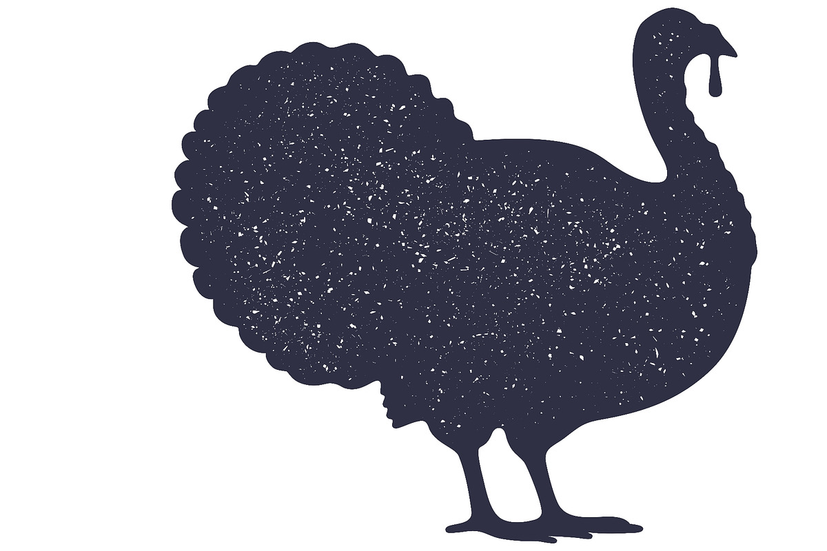 Turkey bird silhouette. Graphic, an Object Illustration by Foxys Graphic (Photo 3 of 3)