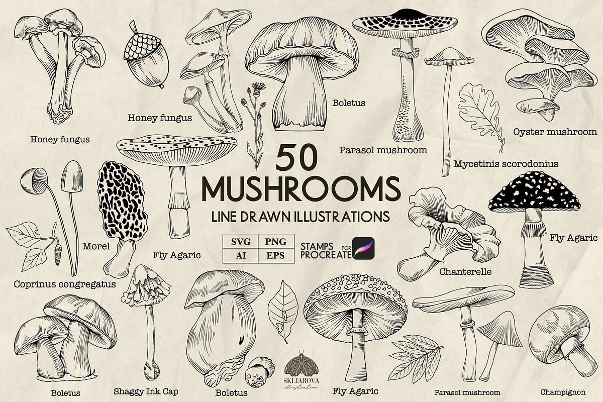 Mushrooms Line Art + Procreate, an Illustration by Skliarova (Photo 1 of 4)