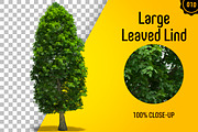 CUT OUT TREES - 60 PCS BUNDLE, a Packaging Mockup by 3DSTORE (Thumbnail 11 of 63)