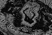 Lilliputian, a Texture Graphic by Jennifer Lauren Creative (Thumbnail 11 of 28)