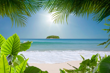 tropic view, a Photo by dmitryersler