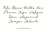 Beatina – Signature Font, a Script Font by Basnistudio (Thumbnail 4 of 11)