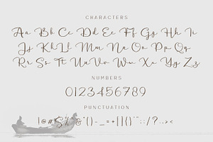 Delanggi - Handwritten Script Fonts