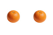 All Fruits Bundle Master Collection, a Food & Drink Photo by FlyeredTemplate (Thumbnail 76 of 130)