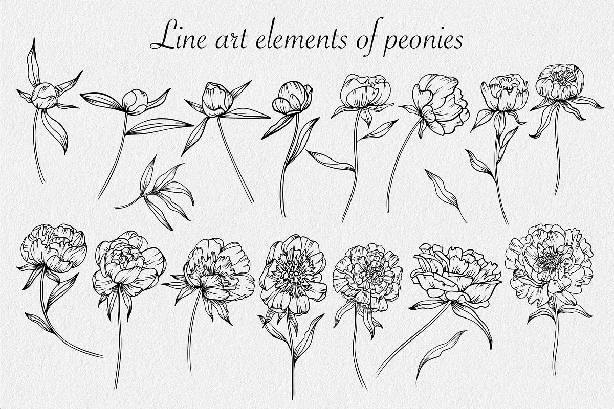 Peonies SVG, an Object Graphic by mArtstore (Photo 2 of 6)