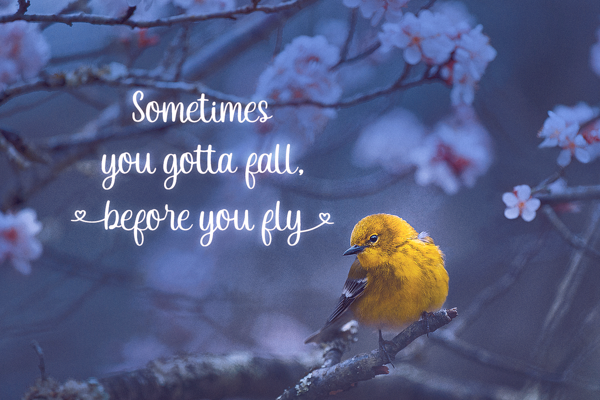 Eveliana - Lovely Script Font, a Script Font by Pixesia Studio (Photo 3 of 10)