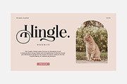 Hostania, a Serif Font by Attract Studio (Thumbnail 8 of 12)