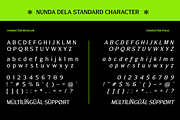 Nunda Dela, a Serif Font by Differentialtype (Thumbnail 10 of 11)