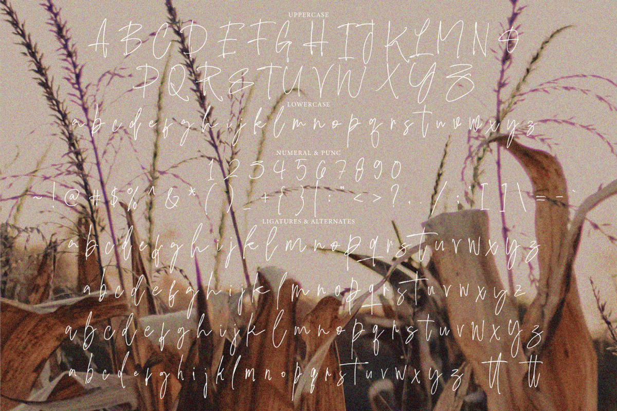 Falsoky - Handwritten Signature, a Handwritten Font by tebaltipislab (Photo 8 of 9)
