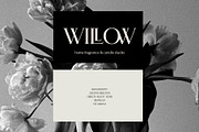 BrandNew – Luxury Serif Family, a Serif Font by BilberryCreates (Thumbnail 5 of 16)