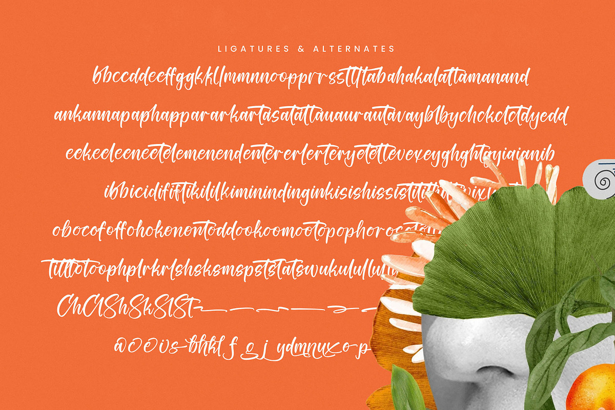 Tropical Splash Modern Handwritten, a Script Font by stylishtype.co (Photo 18 of 20)