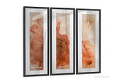 Triptych Photo Frame Mockup – R3x1, a Merchandise Mockup by Mockups by Carlos Viloria (Thumbnail 2 of 7)