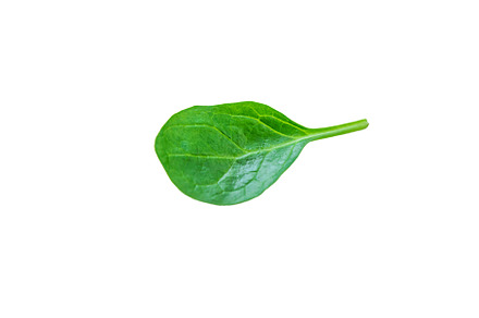 Spinach leaves isolate on white, a Food & Drink Photo by yanadjana