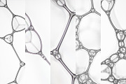 MacroBubbles - 10 unique backgrounds, a Templates & Theme by LayerLabs (Thumbnail 4 of 5)
