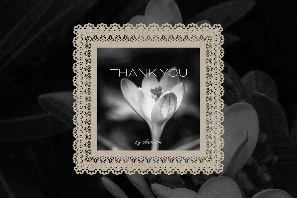 Lace Atelier | Vector Lace Frames, an Object Graphic by AnMark (Photo 15 of 15)