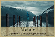 Moody Lightroom Presets Ps ACR LUTs, an Action Add-On by 3Motional (Thumbnail 11 of 11)