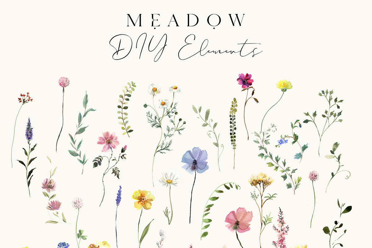 Meadow Wildflower Graphics, an Illustration by Twigs and Twine (Photo 8 of 14)