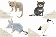 Australian Animals Vol II, an Animal Illustration by Jen Digital Art (Thumbnail 5 of 8)