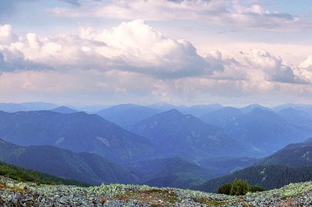Summer sunrise mountain panorama (Carpathian, Ukraine)., a Nature Photo by YuriyB