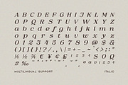 Mosaic Melodies - Stylish Serif, a Serif Font by Typeskets (Thumbnail 6 of 11)