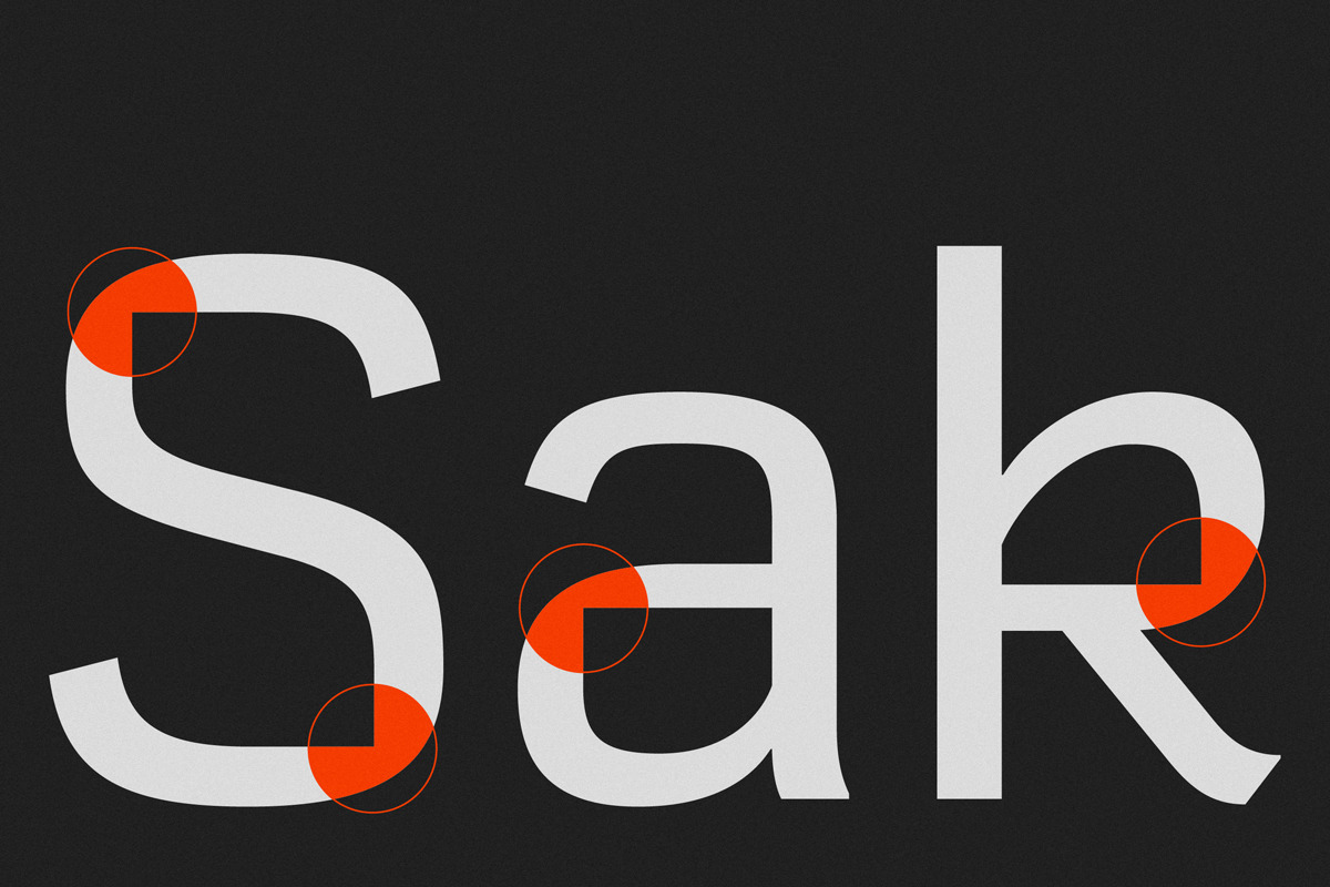 Comeback Sans, a Sans Serif Font by DKType Foundry (Photo 9 of 20)