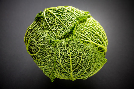 Savoy cabbage isolated on a black background, a Food & Drink Photo by GoodGoods