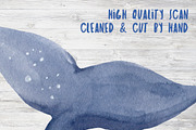 Antarctic Christmas Watercolor Set, a Decorative Illustration by Sha1nee (Thumbnail 5 of 7)