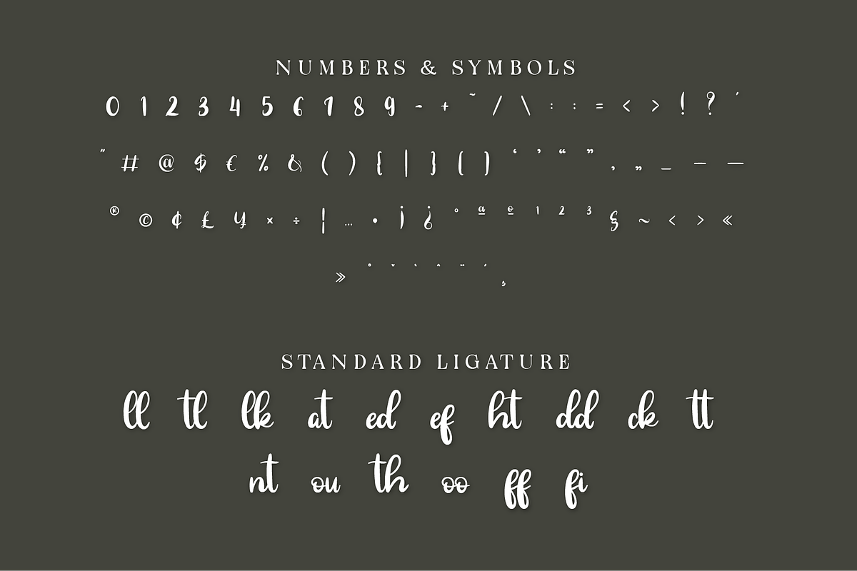 Janellyssa - Brush Calligraphy, a Handwritten Font by Indotype Foundry (Photo 6 of 10)