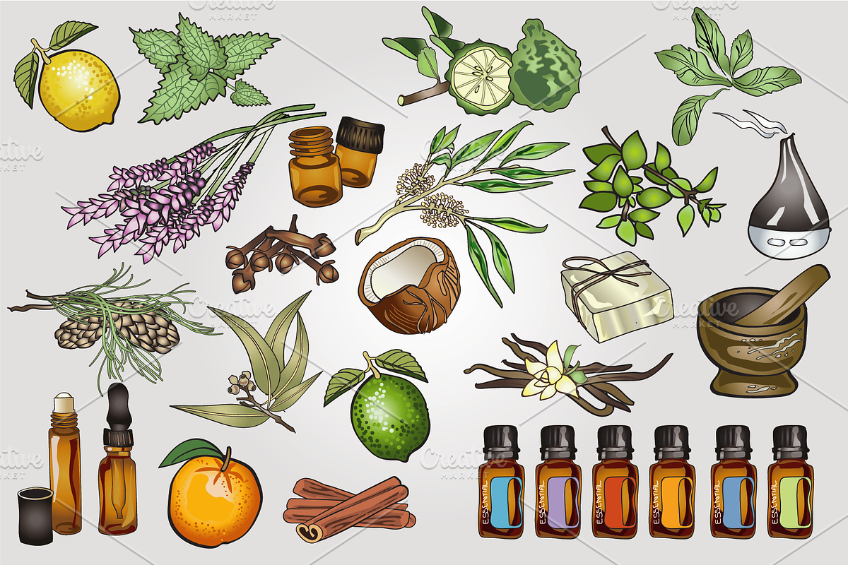 Aromatherapy and Essential Oils, an Illustration by Lady Spy (Photo 3 of 7)