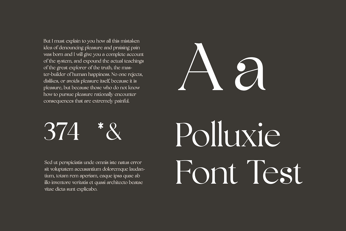 Polluxie Feminine Serif Font, a Serif Font by UICreative (Photo 10 of 12)