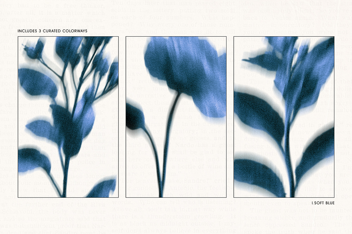 Botanical Traces: Blurred Floral PNG, an Object Graphic by Dina Mae (Photo 9 of 14)