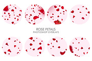 Rose Petals Photoshop Overlays, a Plug-in Add-On by FixThePhoto (Thumbnail 34 of 34)